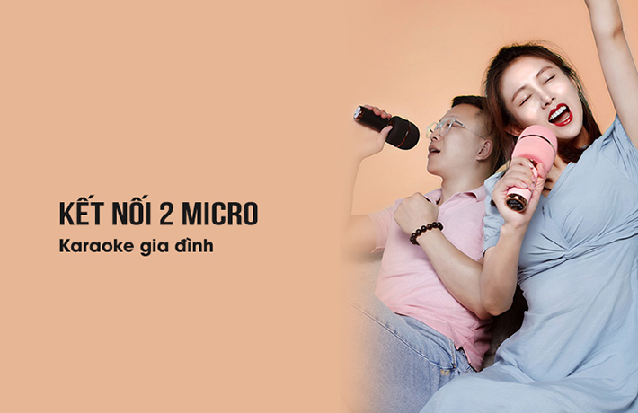 Mic hát Karaoke cầm tay kết nối Bluetooth D36